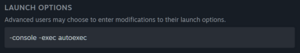 Launch options field.png